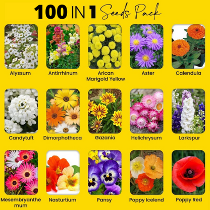 Premium Flower Seeds ( Pack Of 100)